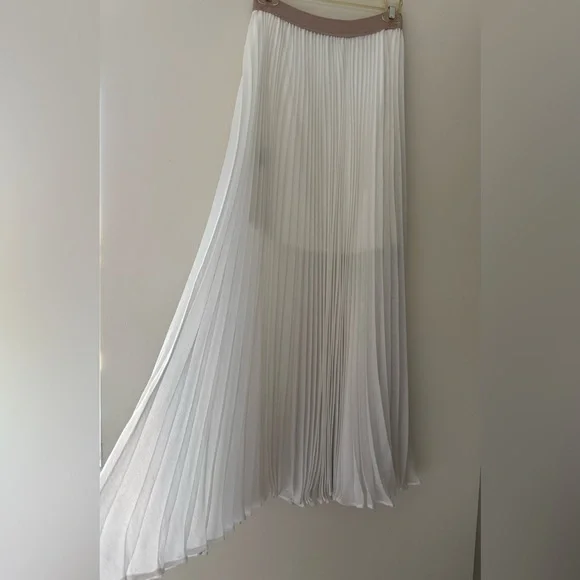 BCBG Estel Pleaded Maxi Skirt - Picture 4 of 4